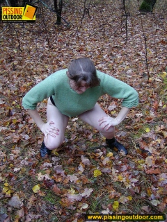 Pissing outdoor on dried leaves on a ground - N