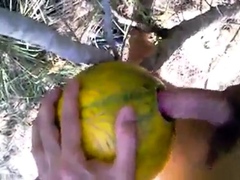 outdoor fun with melon