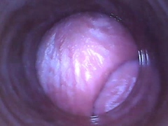close-up-anal-toying